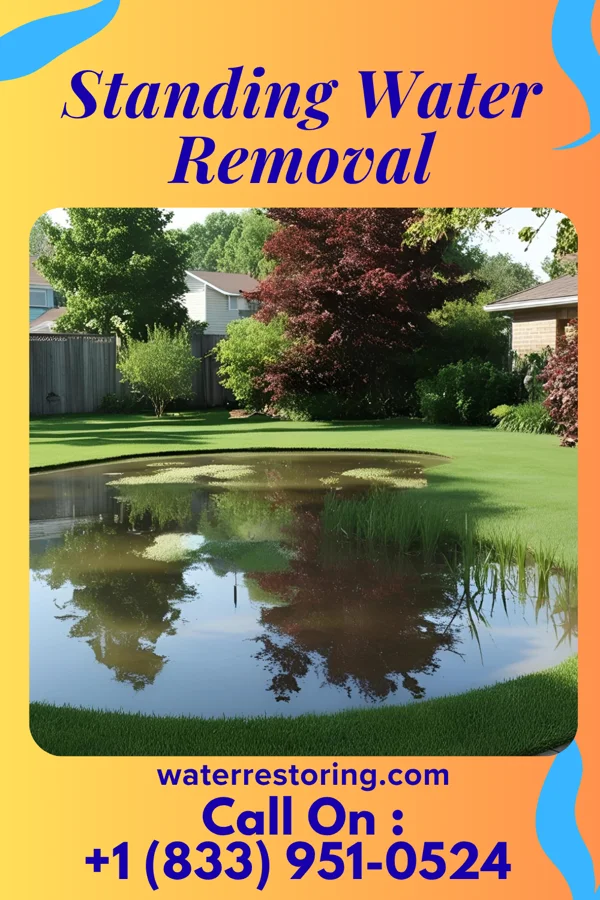 Standing Water Removal in Hillman, MN